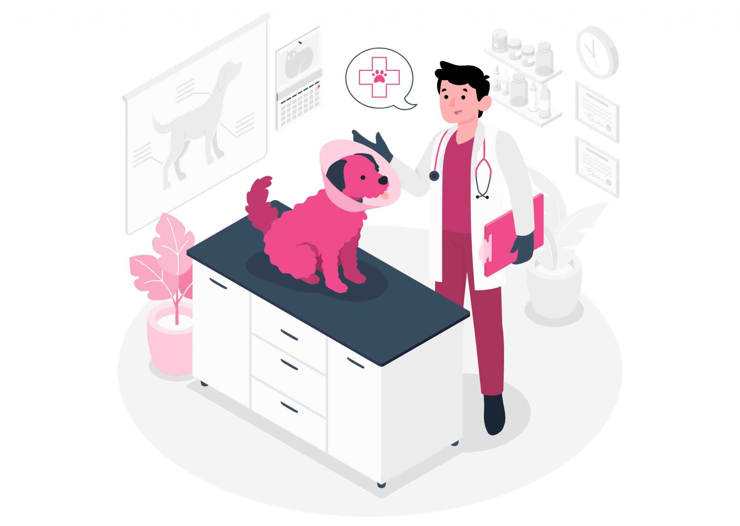 Formaciones Bonificadas